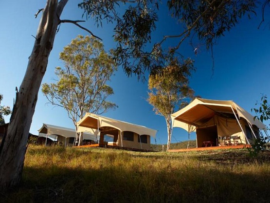 Eco Tents